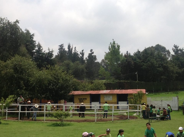 Paseos a caballo